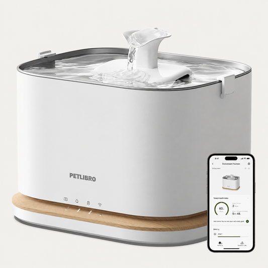 PETLIBRO Dockstream 2 Smart Fountain: Is a Cordless Cat Fountain Worth It?