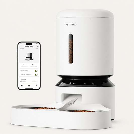 Best Automatic Cat Feeders for Busy Owners: Is a Smart Feeder Worth It?